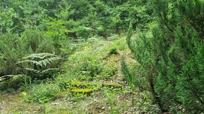 물건 사진 65