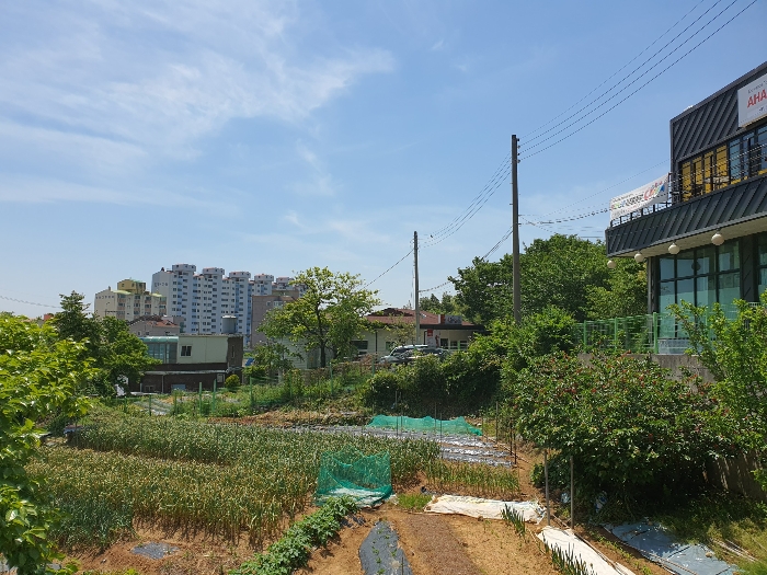 물건 사진 9