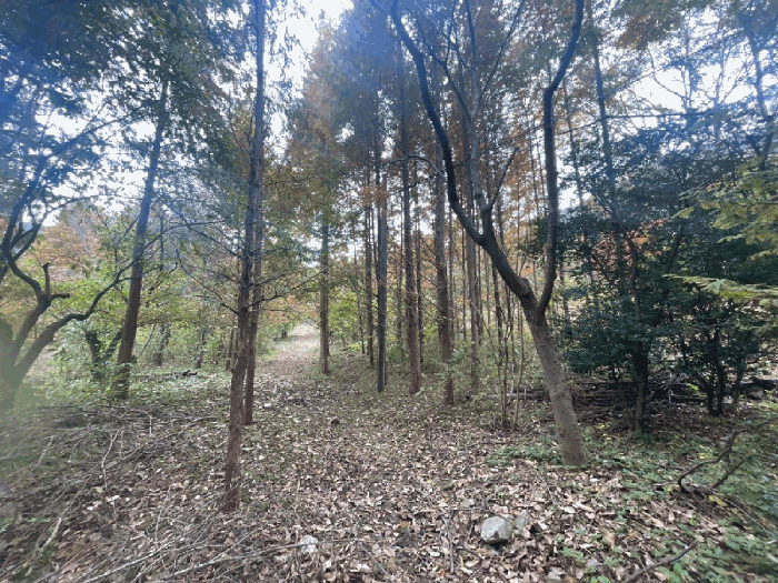 물건 사진 17