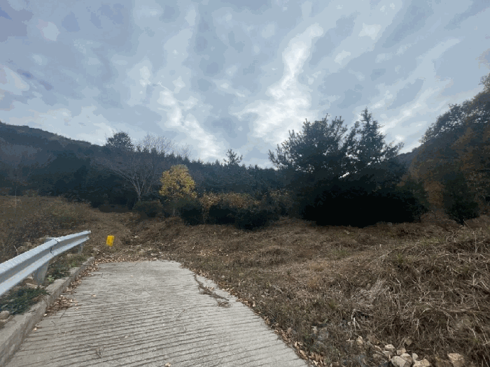 물건 사진 20