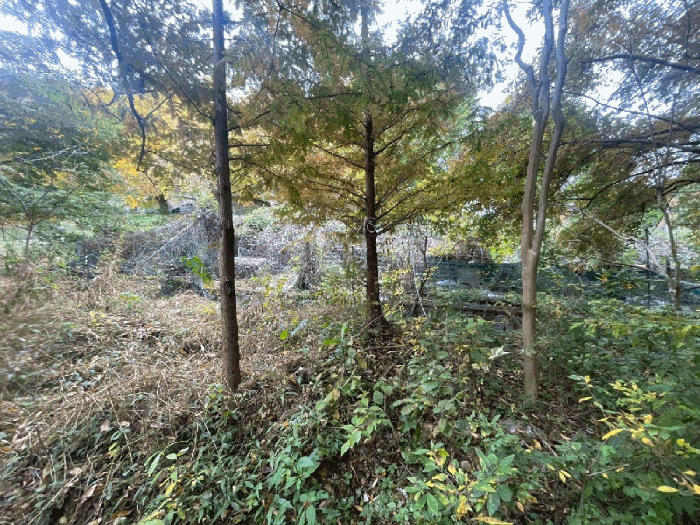 물건 사진 24
