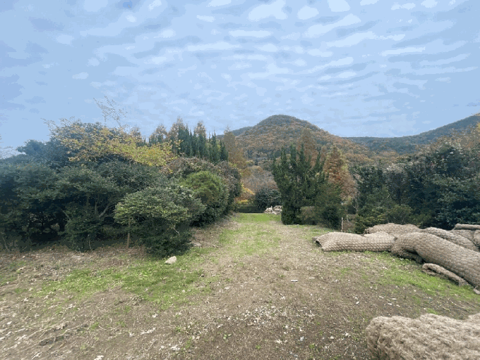 물건 사진 25