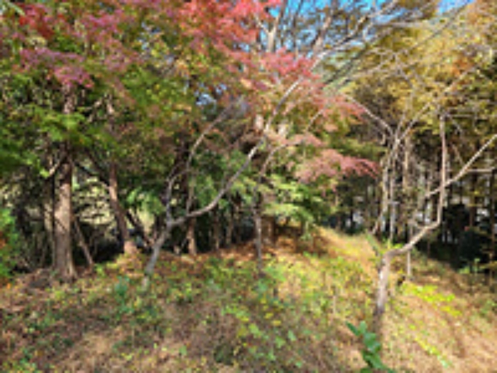 물건 사진 6