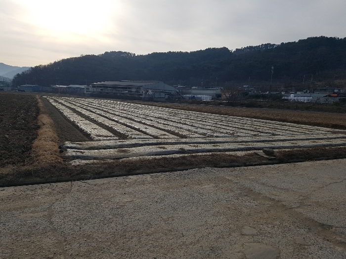 물건 사진 33