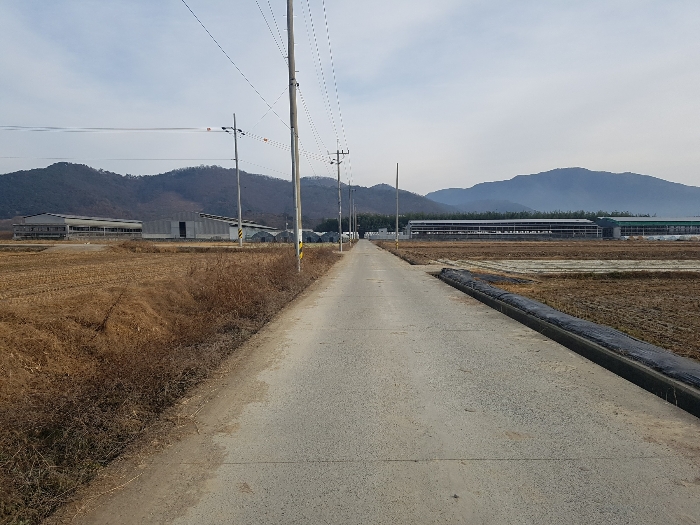 물건 사진 34