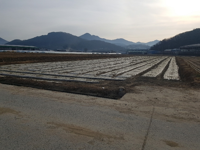 물건 사진 41
