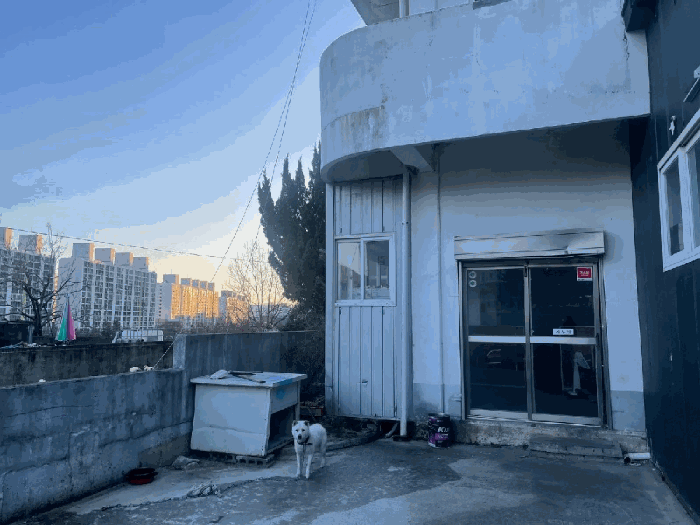 물건 사진 29