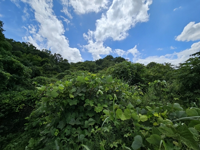 물건 사진 27
