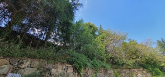 물건 사진 12