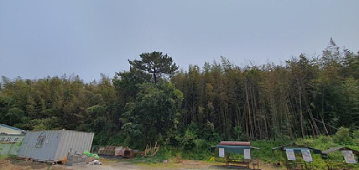 물건 사진 8