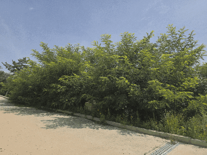 물건 사진 57