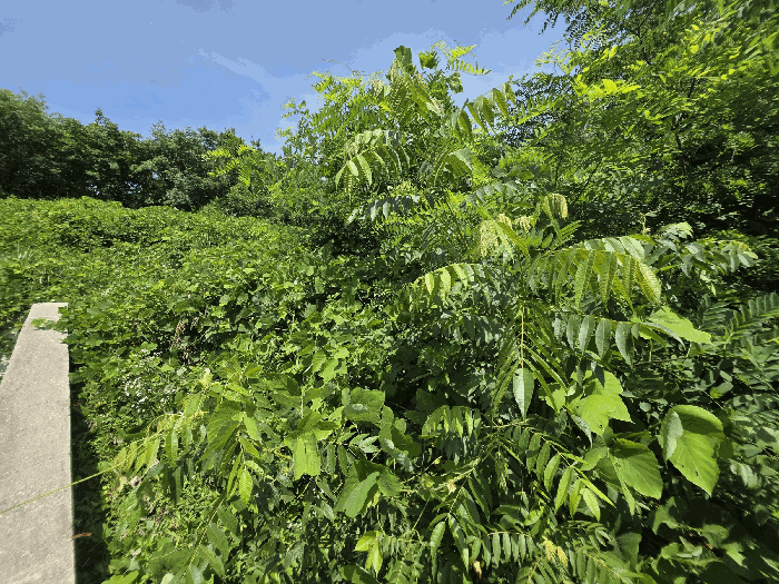 물건 사진 53