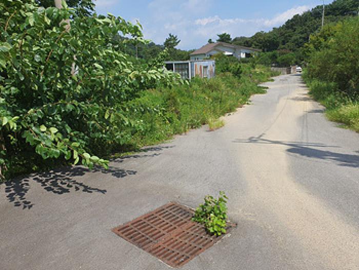 물건 사진 9