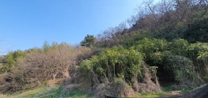 물건 사진 1