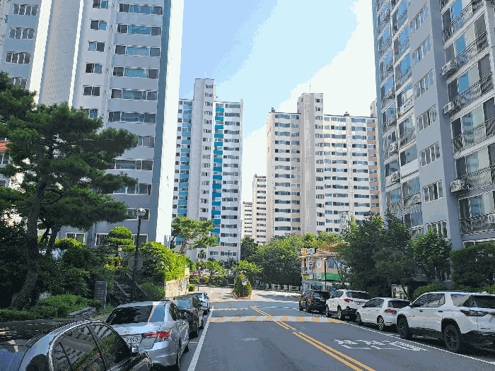물건 사진 9