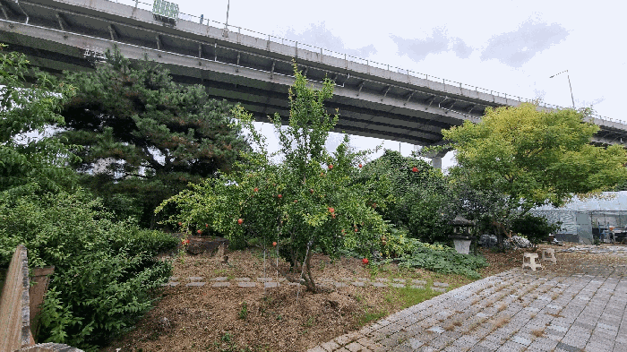 물건 사진 15