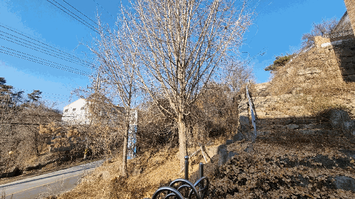 물건 사진 39