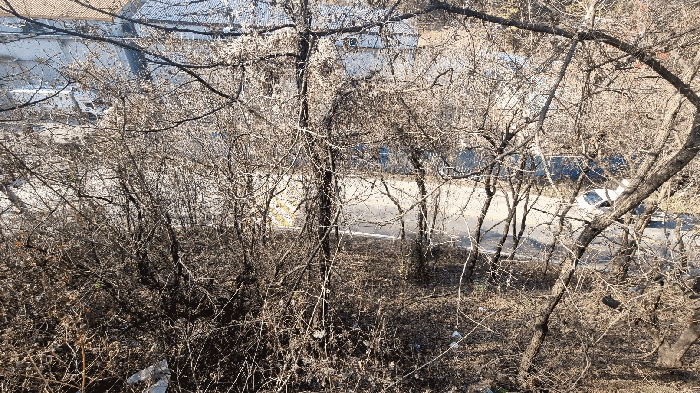 물건 사진 66