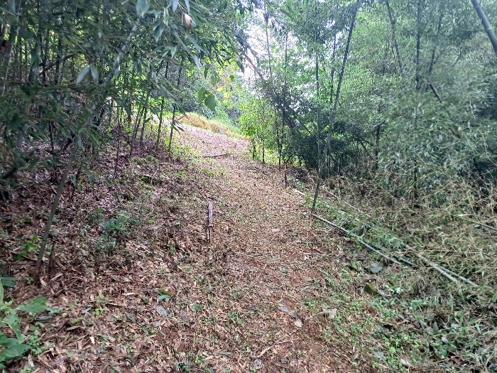 물건 사진 5