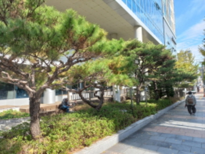 물건 사진 2