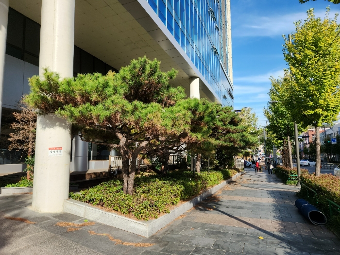 물건 사진 25