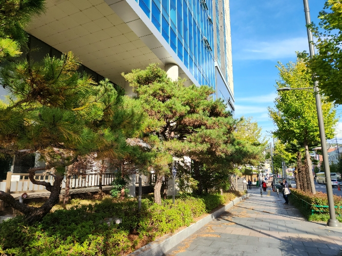 물건 사진 36