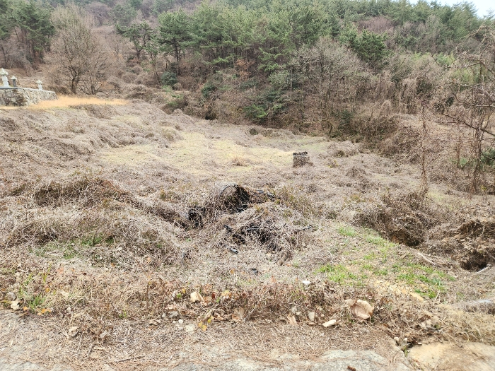 물건 사진 29