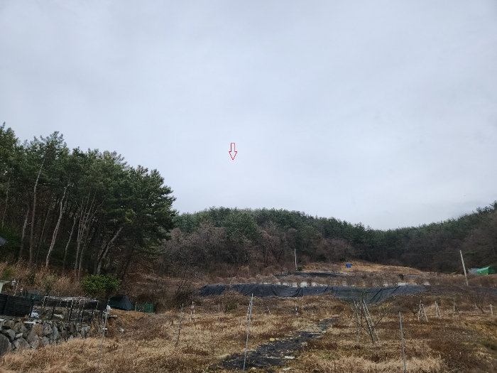 물건 사진 35