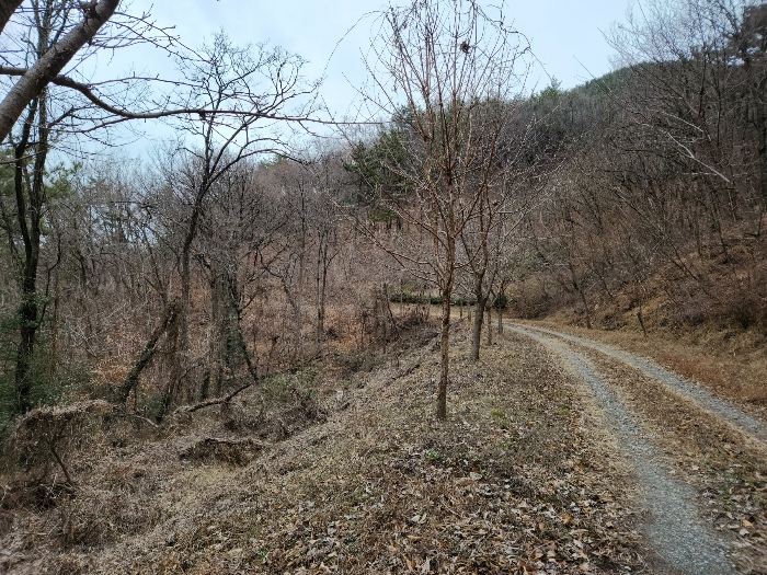 물건 사진 47