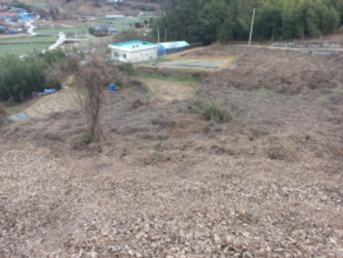 물건 사진 10
