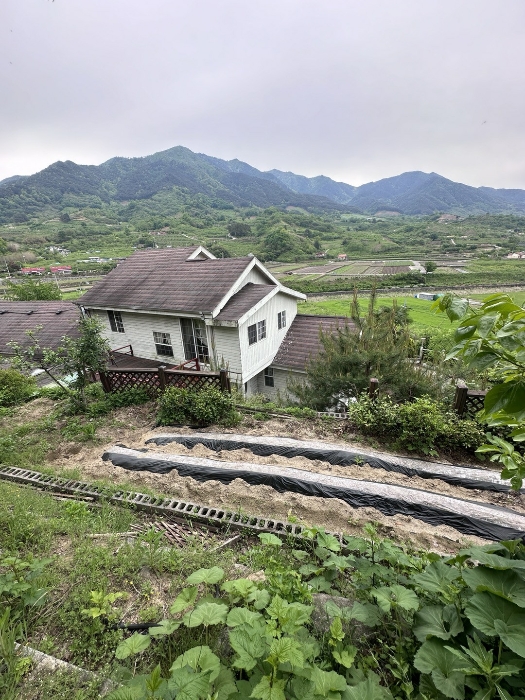 물건 사진 18