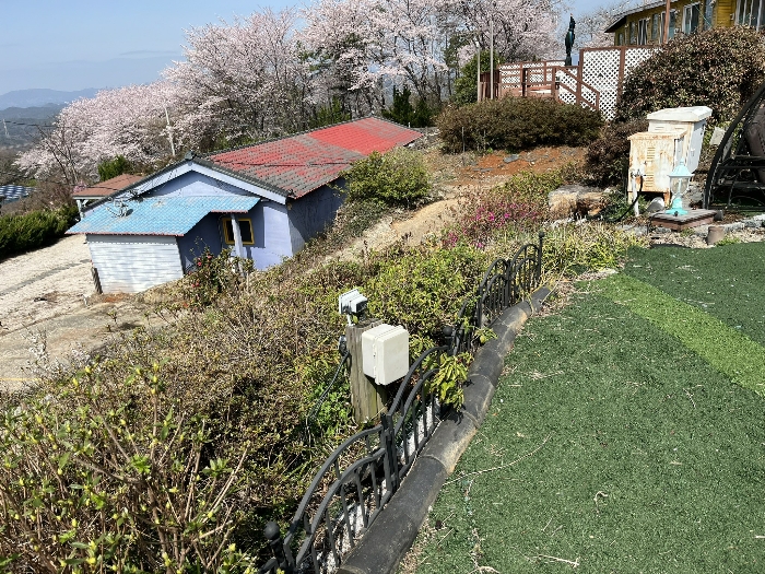 물건 사진 17