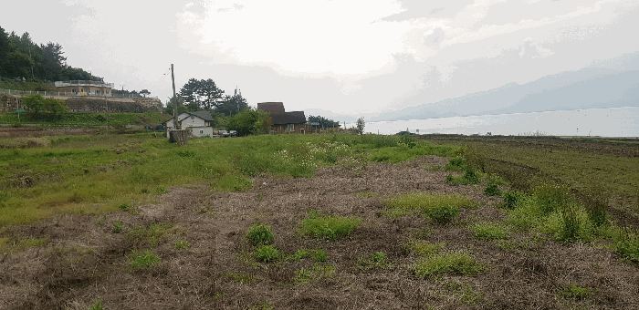 물건 사진 28