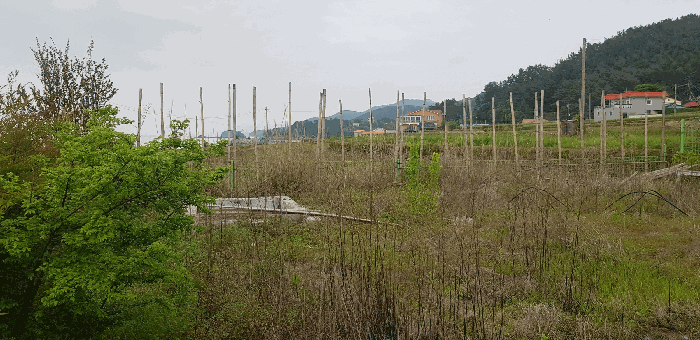 물건 사진 42