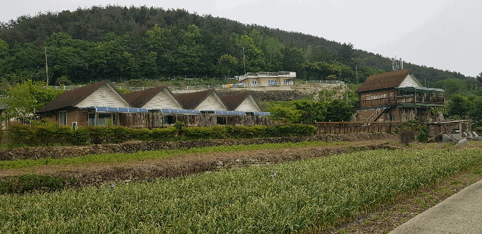 물건 사진 46