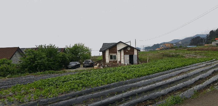 물건 사진 47