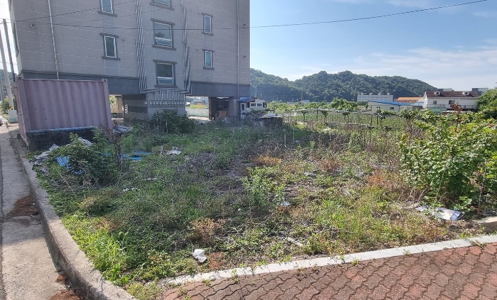 물건 사진 12