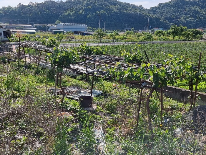 물건 사진 19