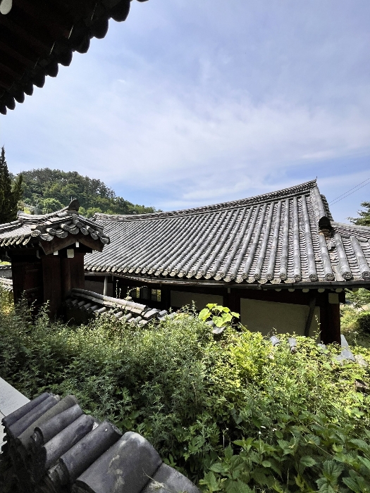 물건 사진 14