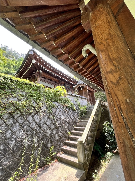 물건 사진 16