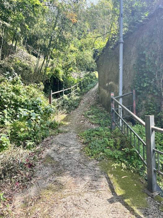 물건 사진 19