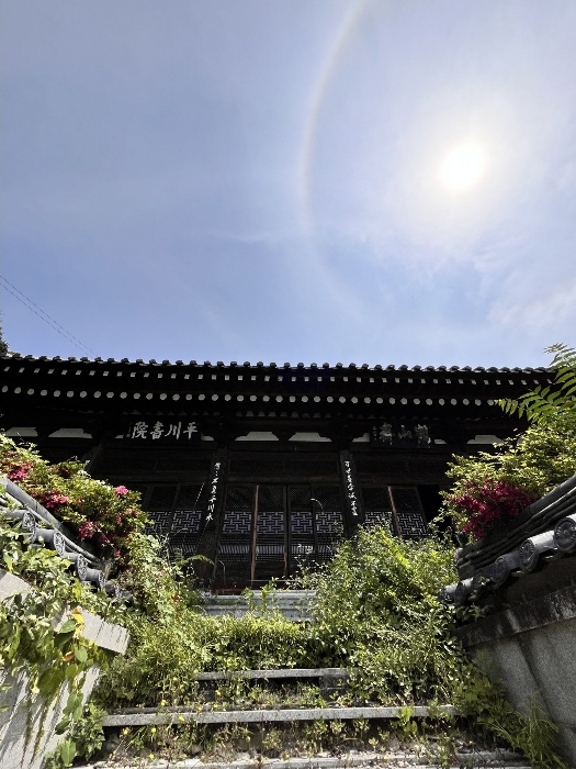물건 사진 24