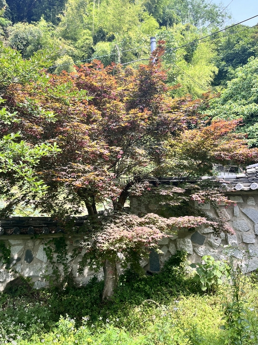 물건 사진 26