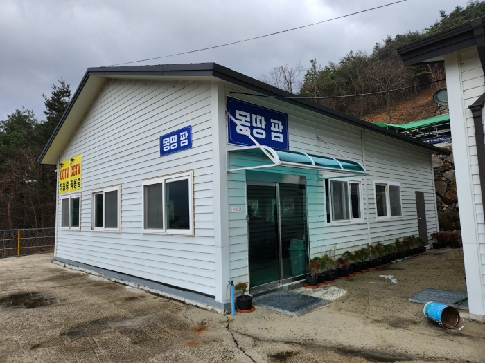물건 사진 51