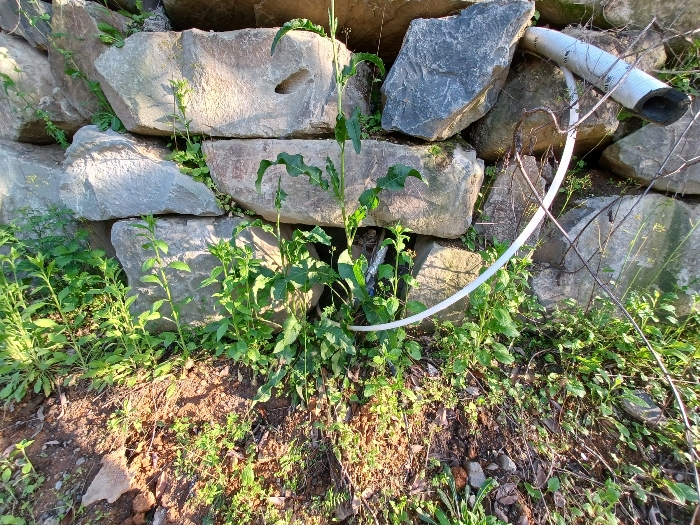 물건 사진 23