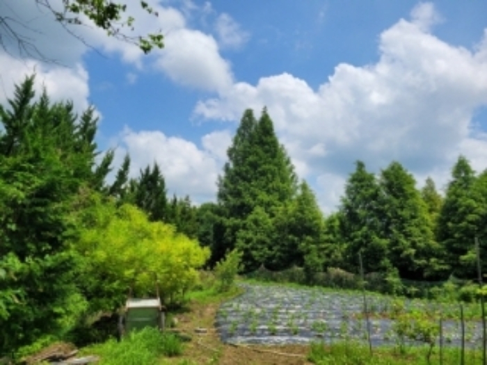 물건 사진 12