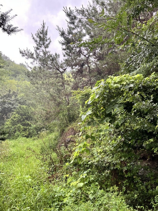 물건 사진 113