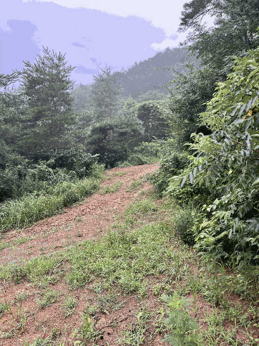 물건 사진 130
