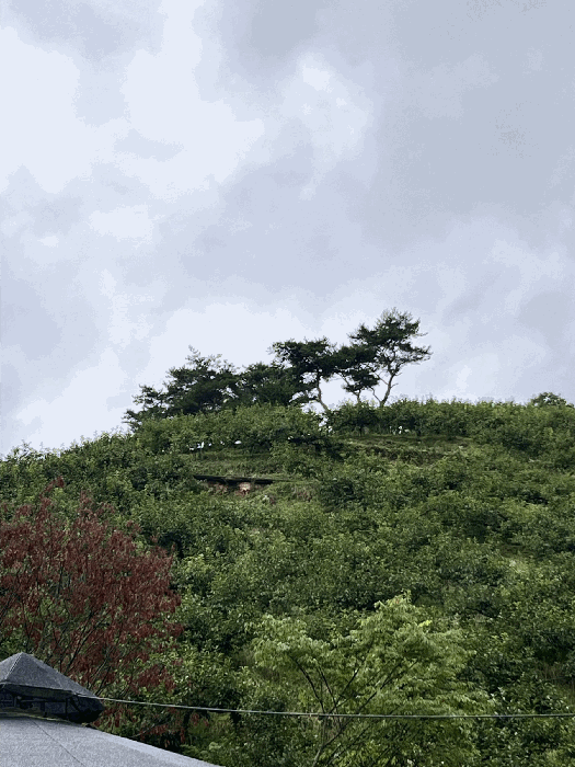 물건 사진 136