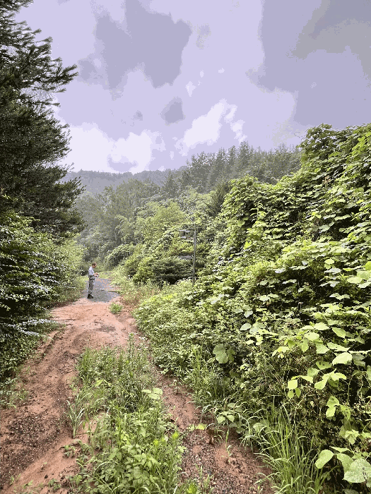 물건 사진 139